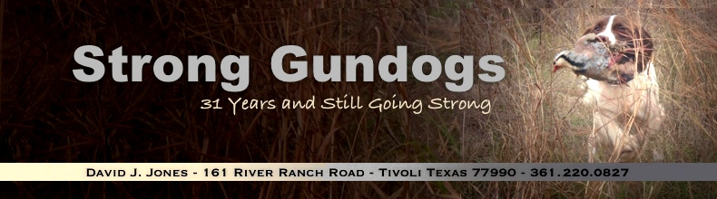 Strong Gundogs