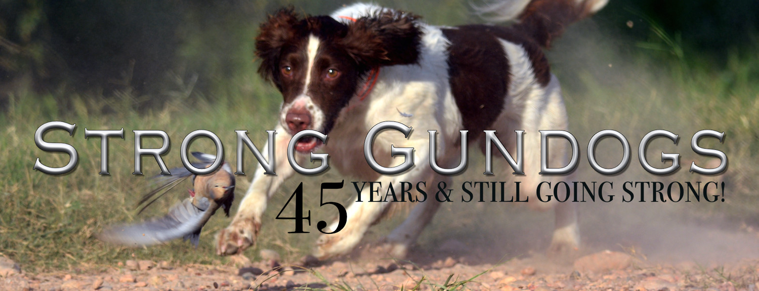 Strong Gundogs