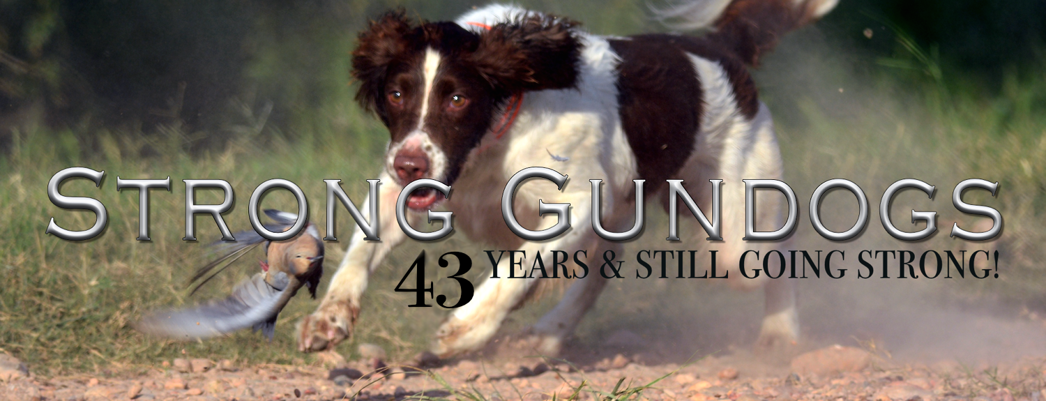 Strong Gundogs