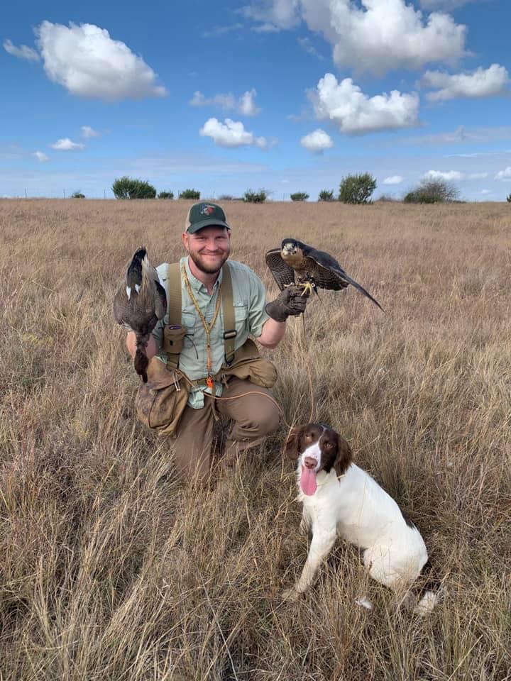 Falconry